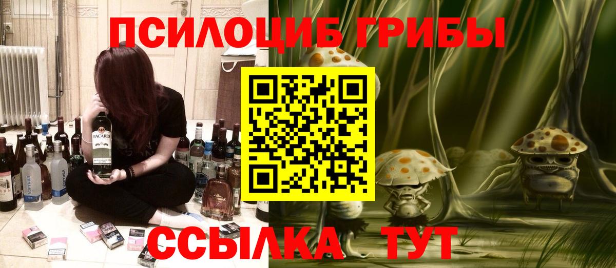Псилоцибиновые грибы Psilocybe  Вход с VPN  магазин    Псилоцибиновые грибы Psilocybe  Кумертау 