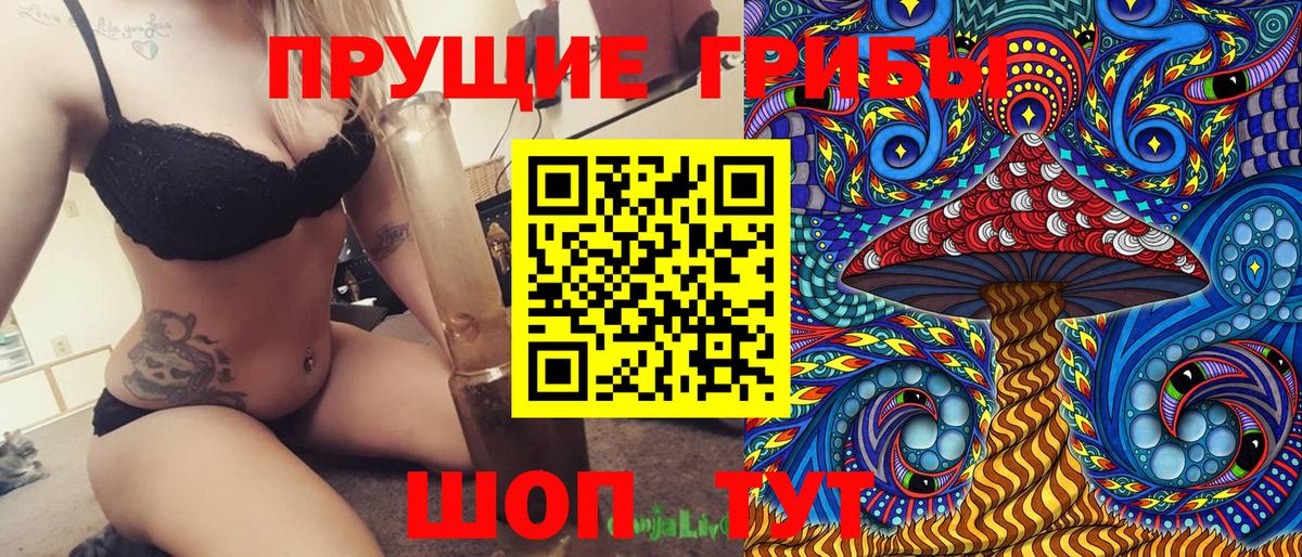 Галлюциногенные грибы Psilocybe Кумертау